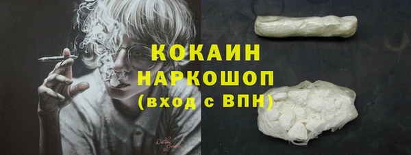 МДПВ Карпинск