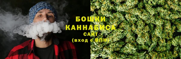 МДПВ Карпинск