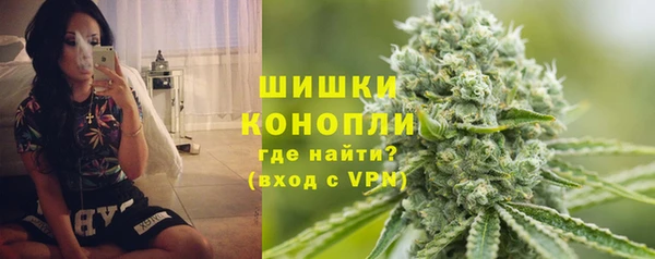 МДПВ Карпинск